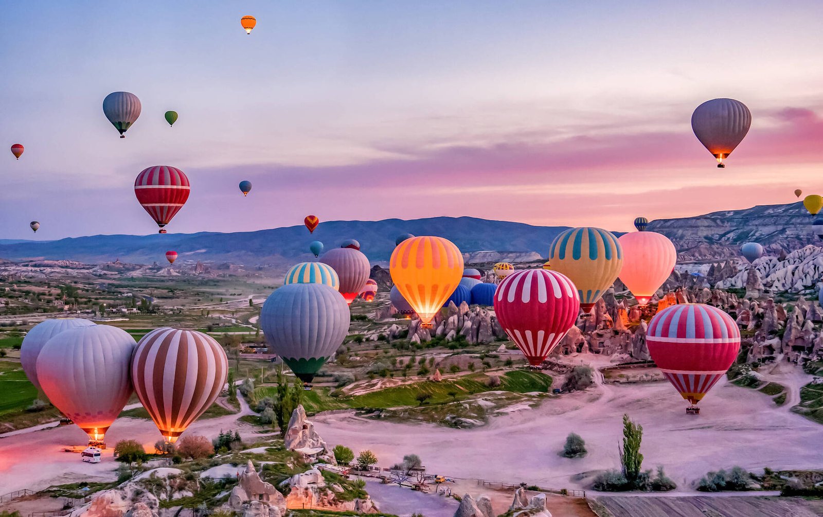 Majestic Turkey Discovery