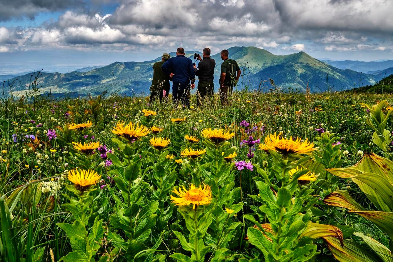 Nature's Paradise in Georgia